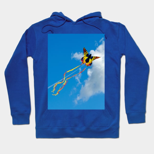 Let's go fly a kite Hoodie by iyd39